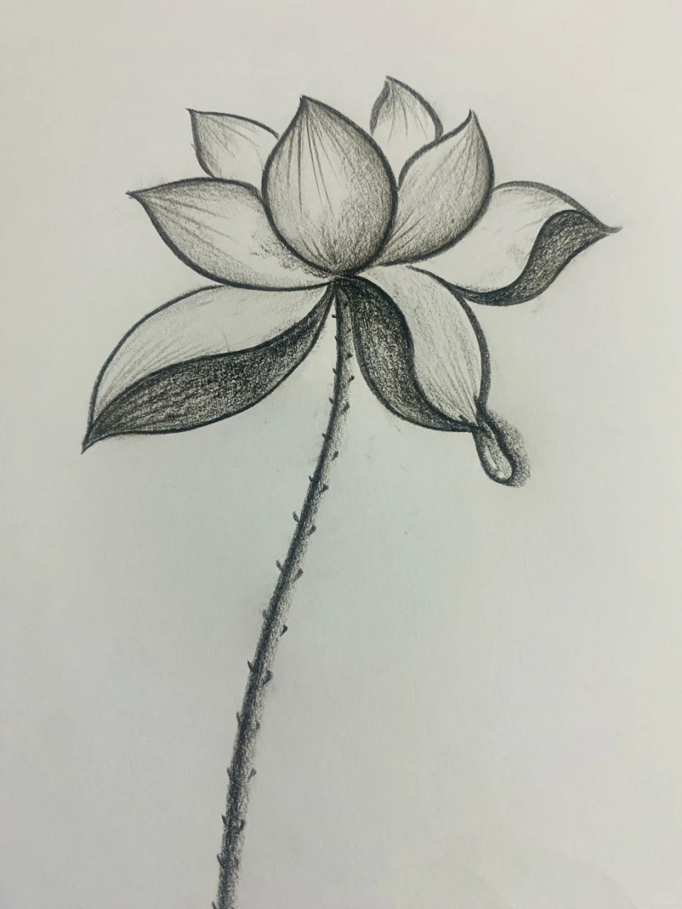 ♥️分享简单画莲花过程🪷 ♥️笔记心得:先画三个说滴