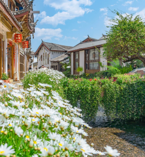 云南旅游必看攻略,云南6天5晚人均1k ,云南八大春季旅游景点