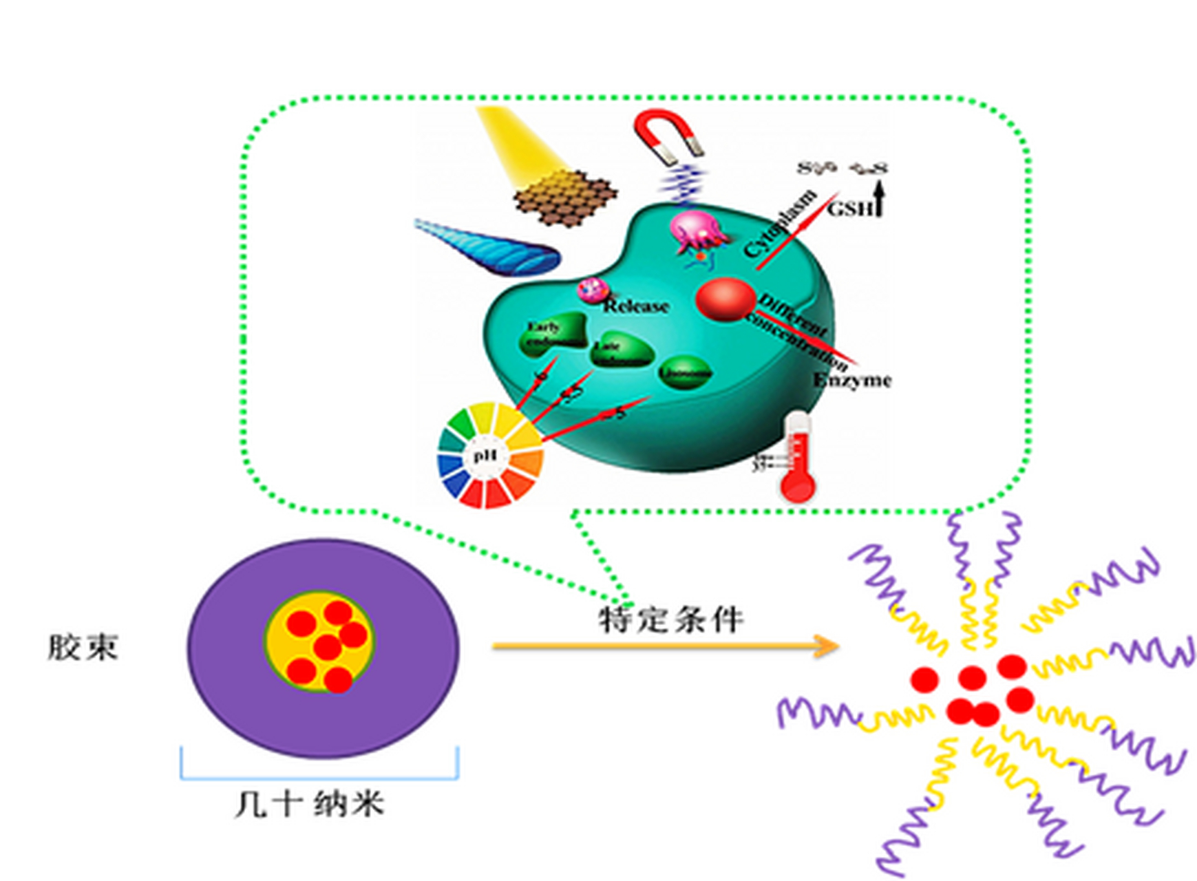 两亲性嵌段共聚物通过自组装形成胶束,可作为难溶性药物的纳米药物