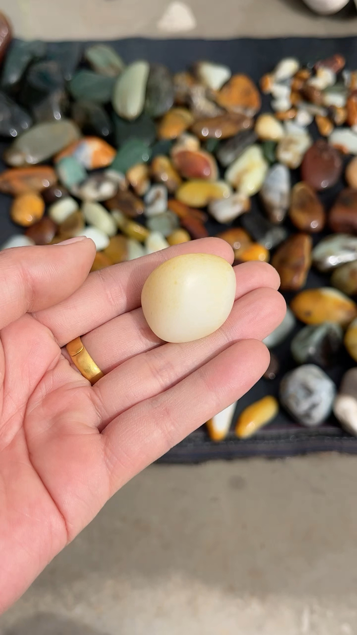 和田洒金皮黄白种籽料