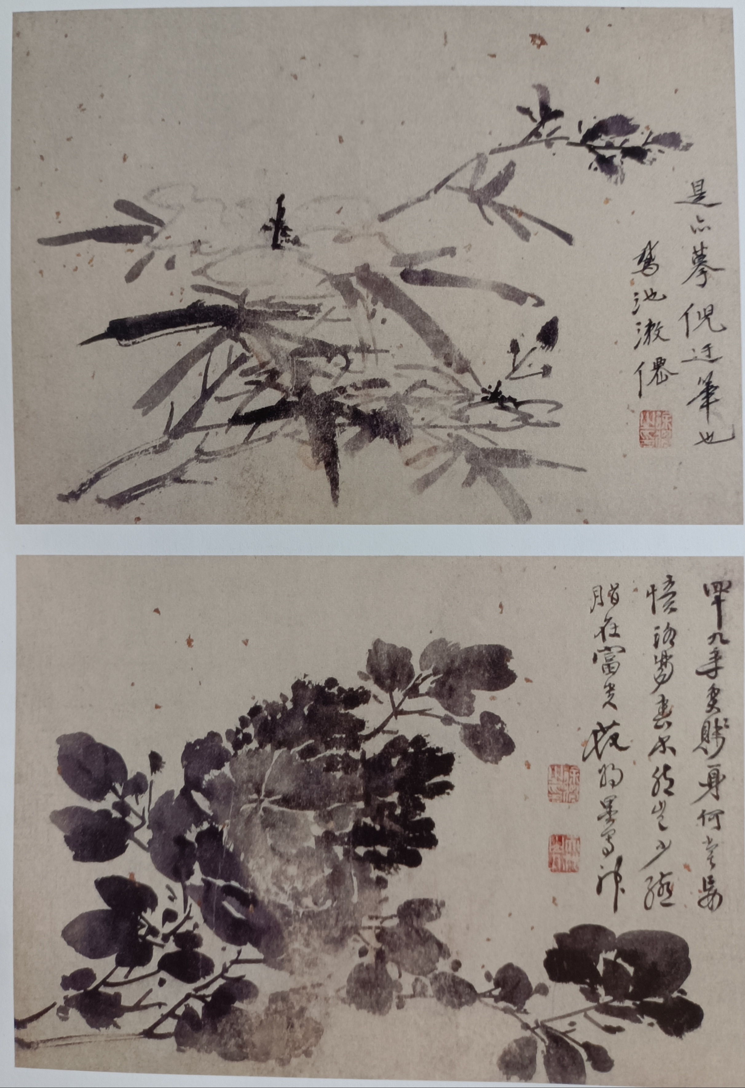 山水花卉人物图册 徐渭 明代 纸本水墨 故宫博物院藏 此图册用水墨