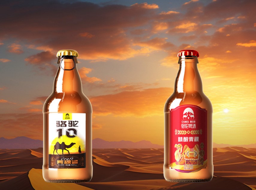 骆驼青稞精酿啤酒—匠心酿造,独特风味