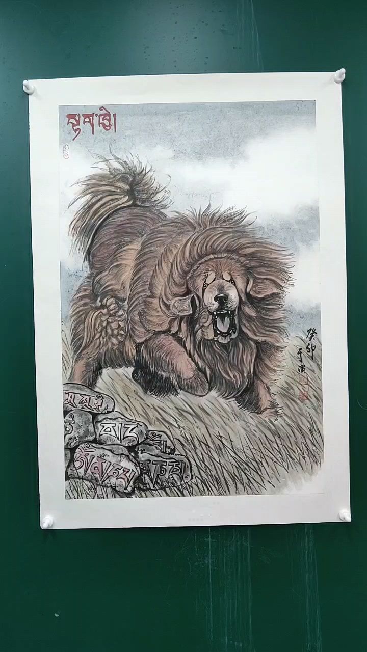 藏獒,红色藏獒,铁包金藏獒,藏獒国画作品!-度小视