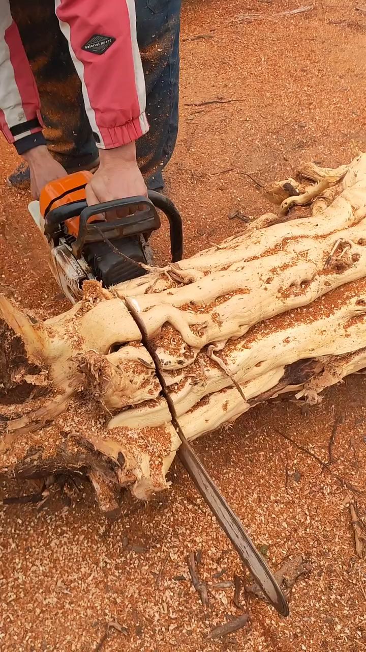 枣木手串你玩过吗?