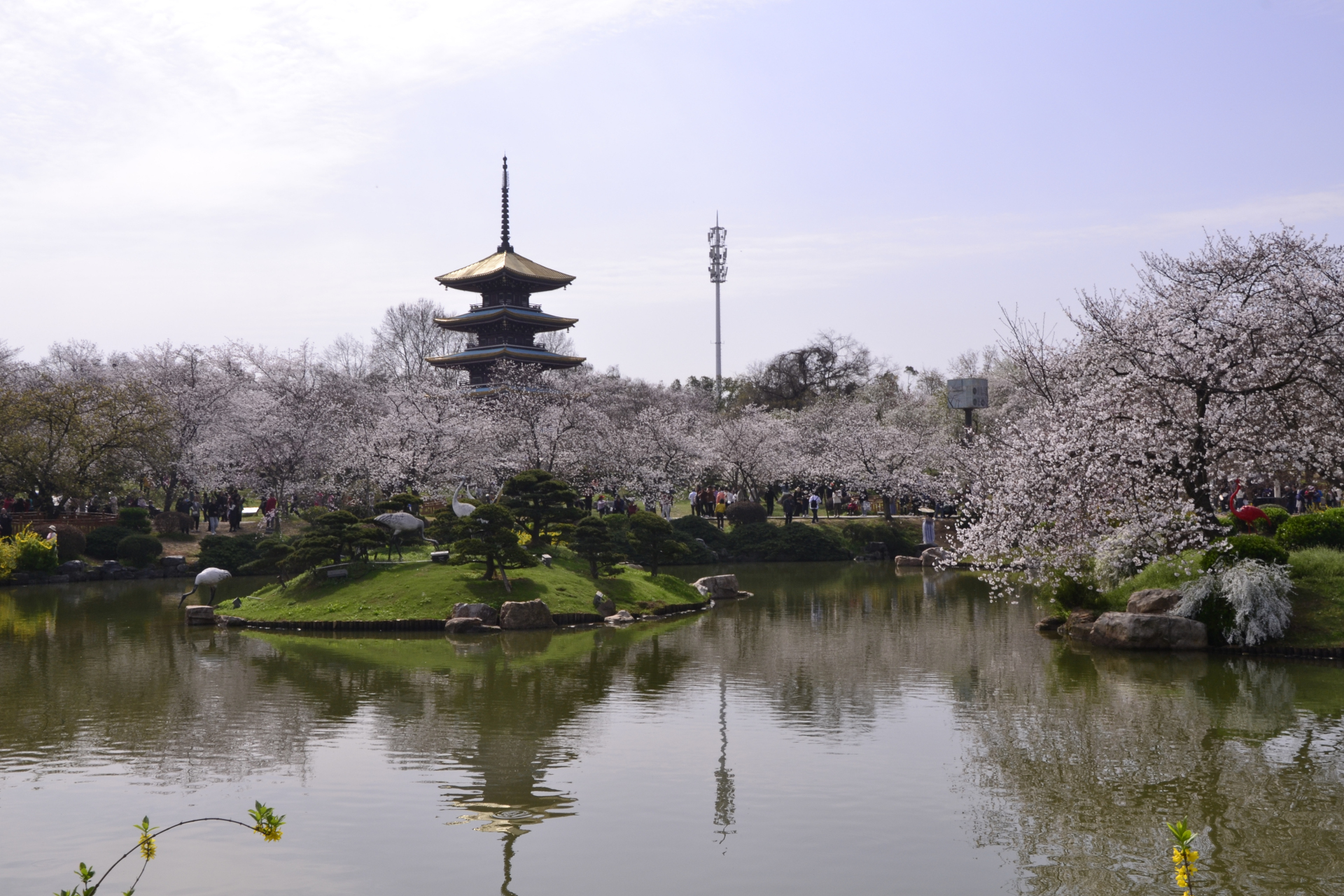 武汉东湖樱园与日本青森县的弘前樱花园,美国的华盛顿州樱花园并称为