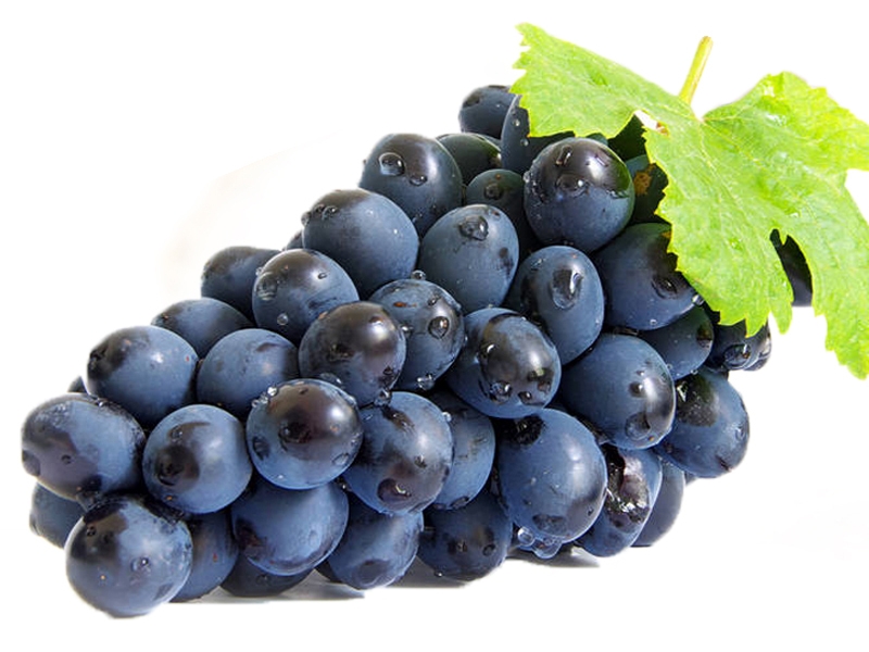 比较常见的一些葡萄品种