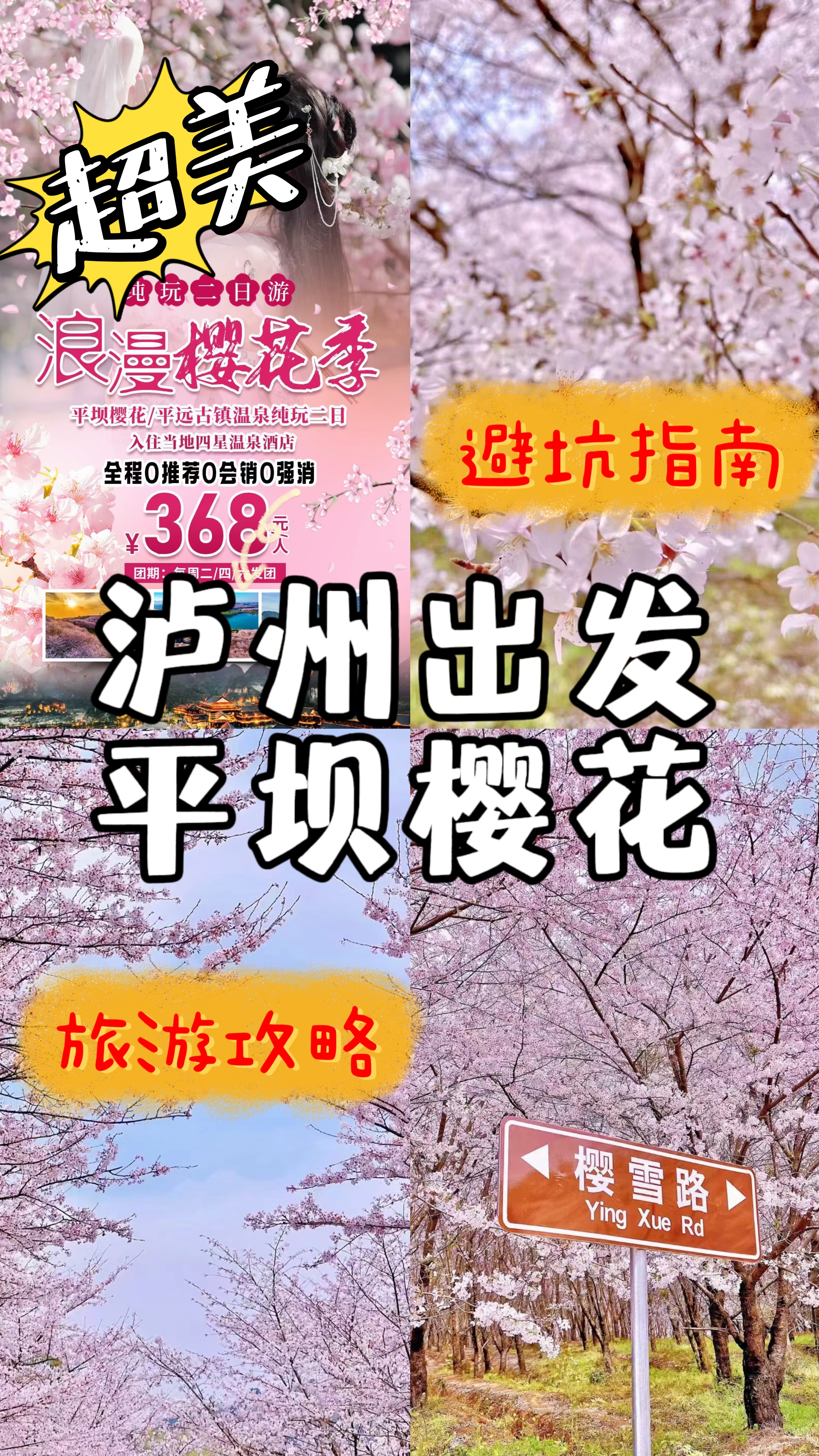 贵州平坝樱花电话图片