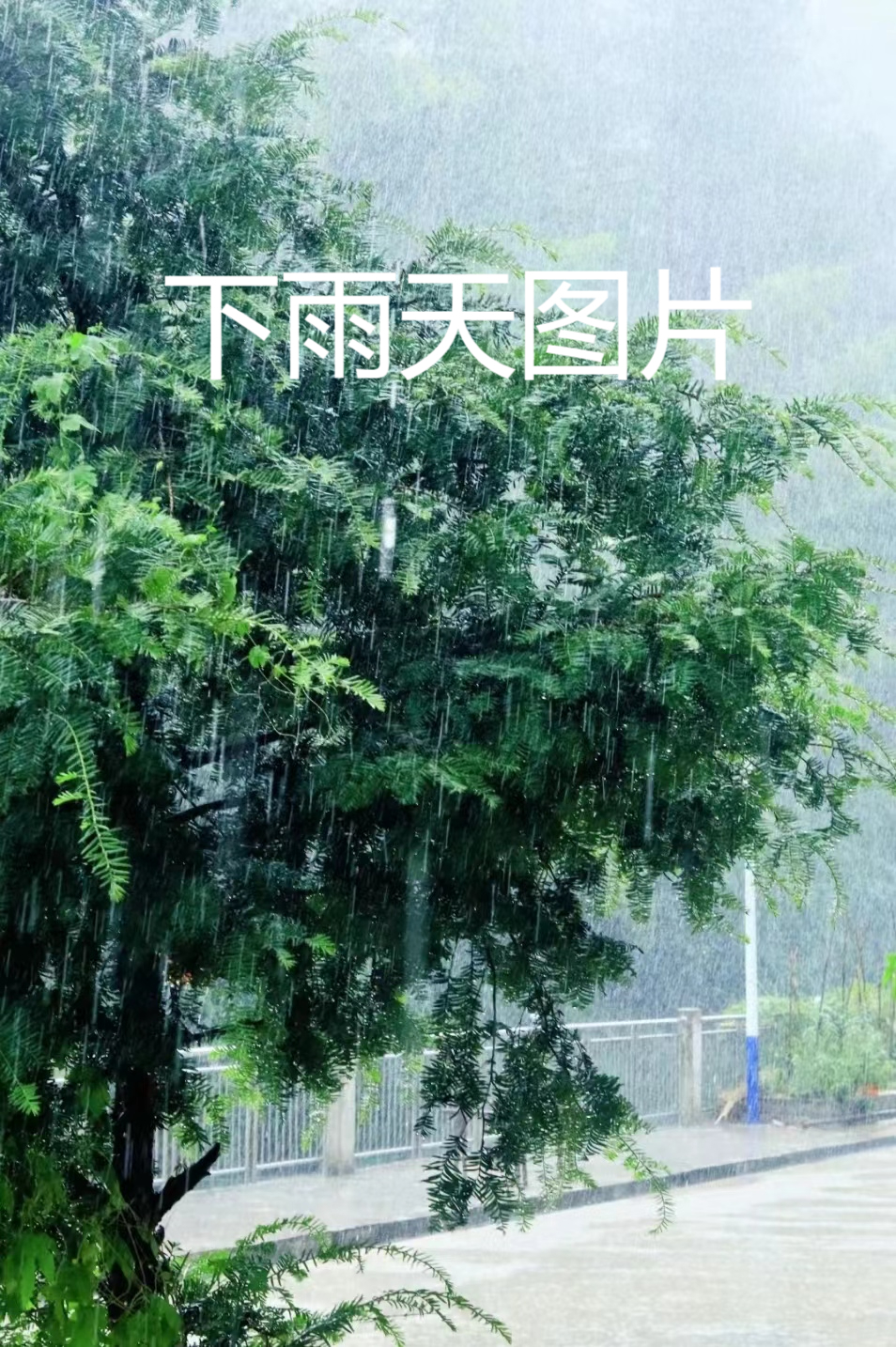 不管阴天雨天 有好心情就是晴天