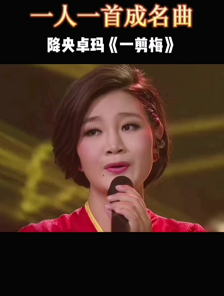 《一剪梅》雪花飘,北风萧,寒梅立雪只为伊人香!