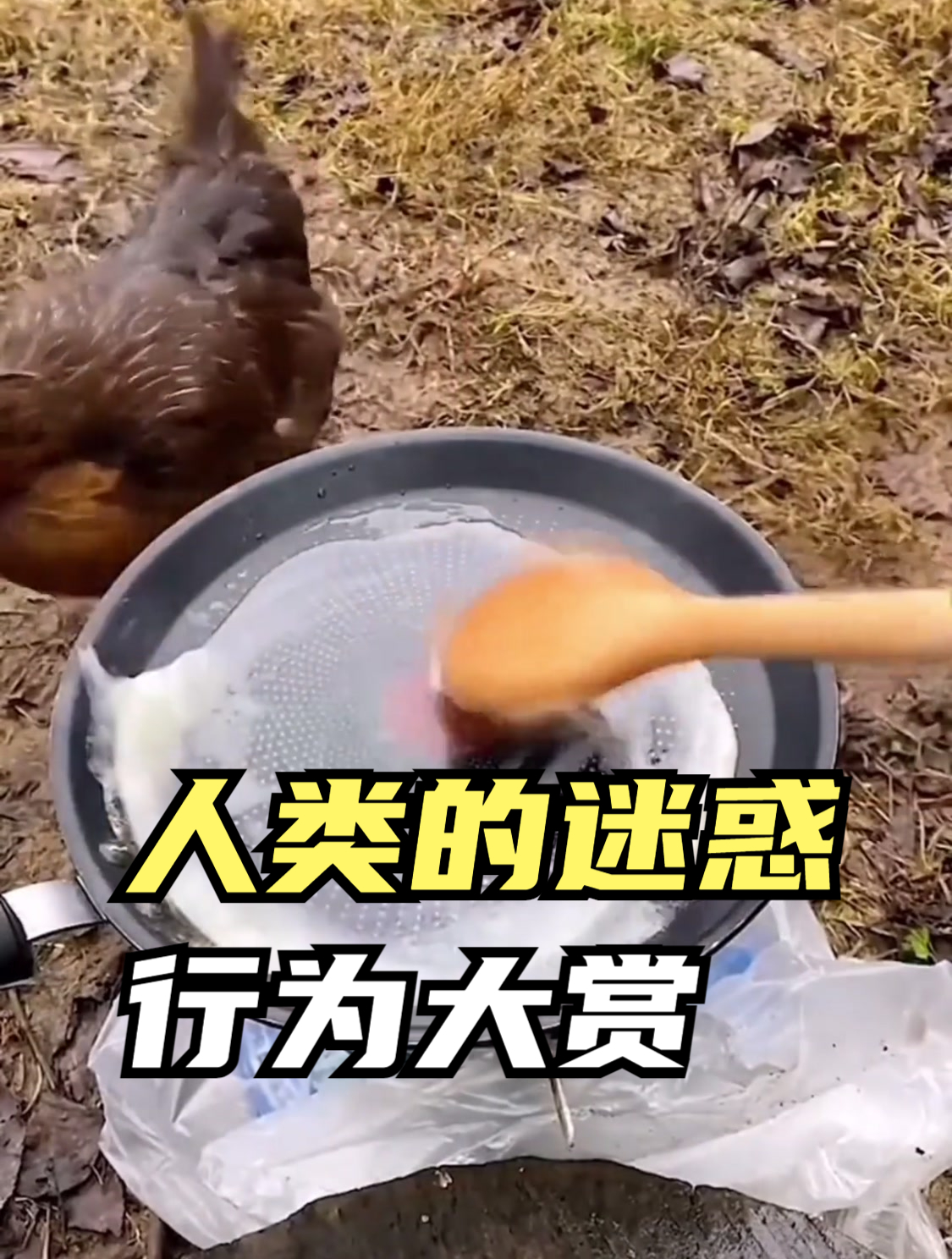 盘点人类的迷惑行为大赏,这个鸡敬酒不吃,吃料酒