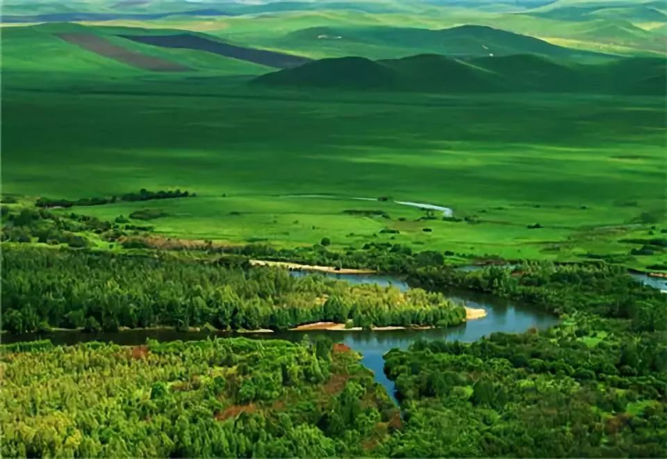 世界森林日|带你走进内蒙古最美的森林