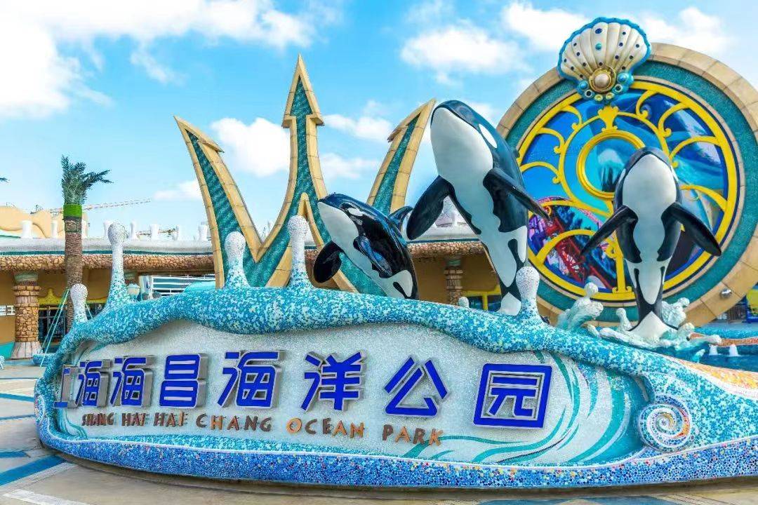 上海海边的景点有哪些?这几个地方值得一去