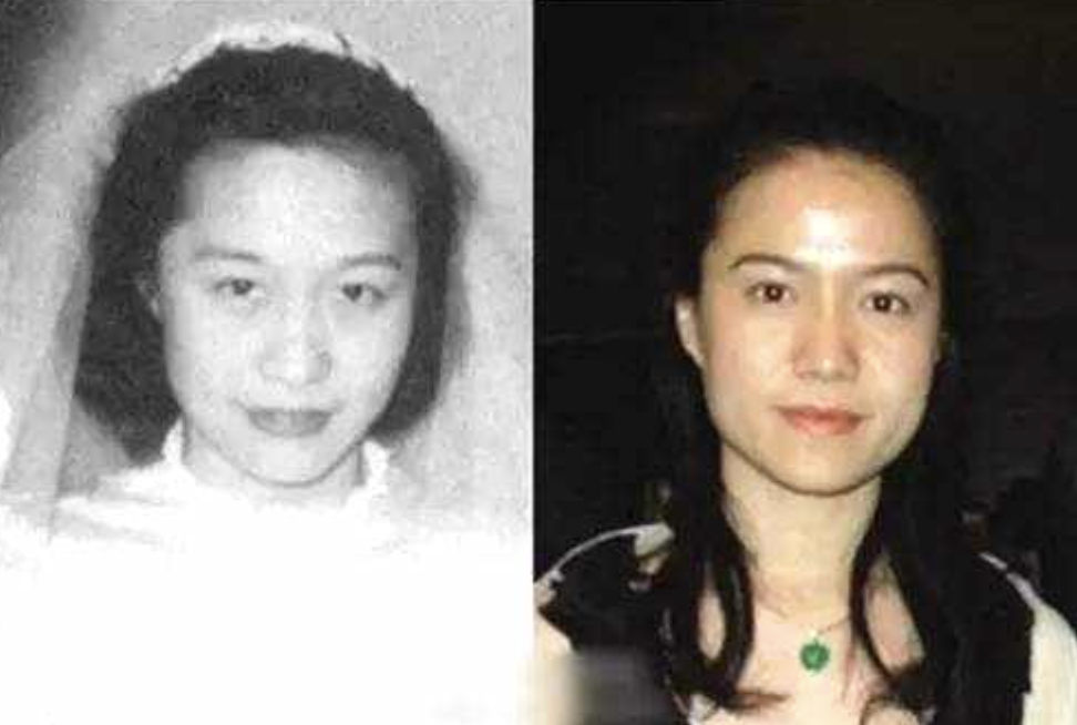 回顾46岁的翁帆与杨振宁结婚18年白发对红妆她无悔亦无怨