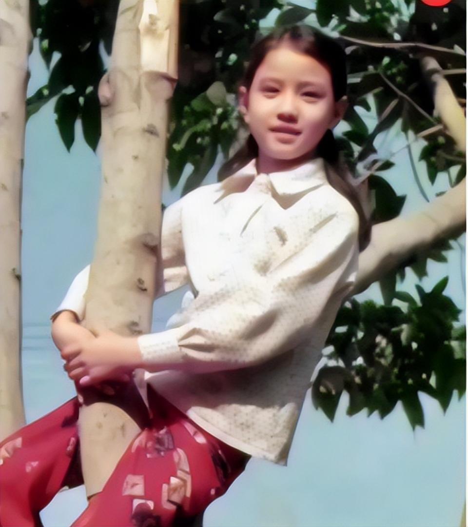 回顾57岁周海媚将上亿豪宅改装成菜园未婚未育却羡慕哭千万人