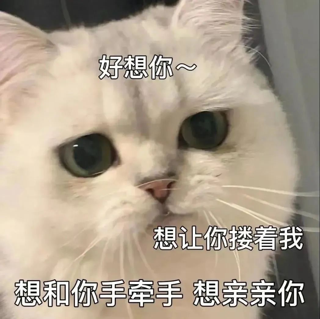 涩涩表情包合集啊