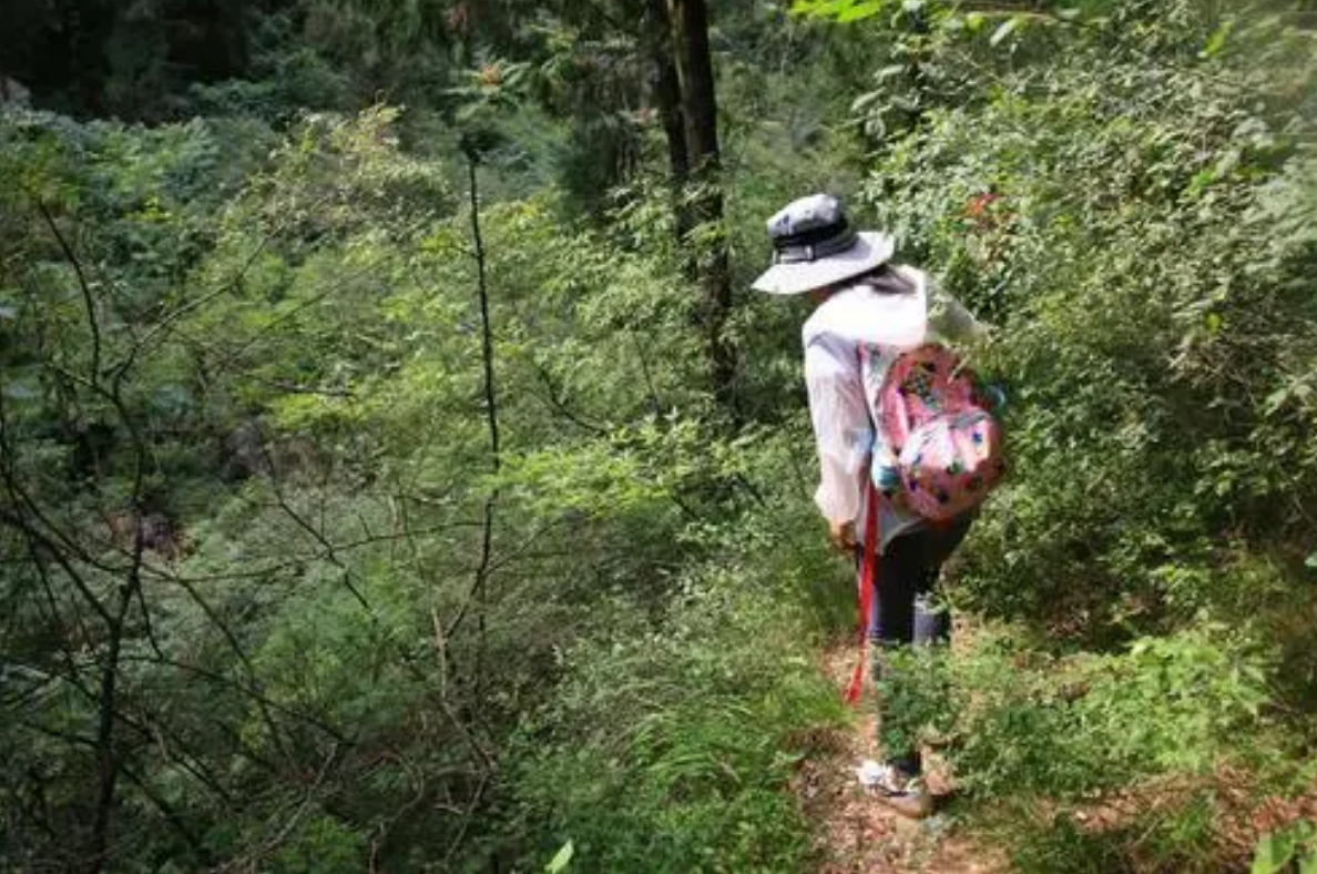 说来也奇怪,警方调查过张燕,她从小就一直待在辽宁,并没有来过长白山.