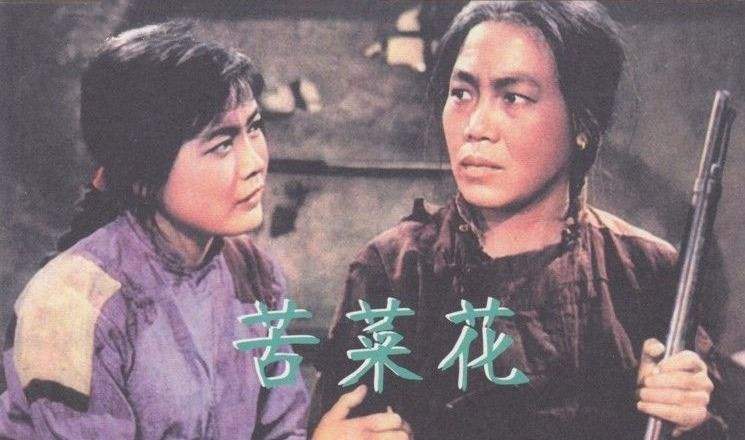 母亲专业户曲云丈夫和女婿都是演员她晚年为何捡垃圾