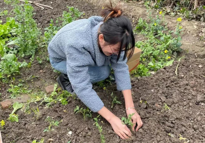 回顾农民宁愿打工也不愿在家种地几大原因值得注意需引起重视