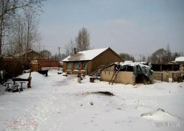 九成人不知蟑螂天敌是谁家里面放1个它蟑螂都消失了