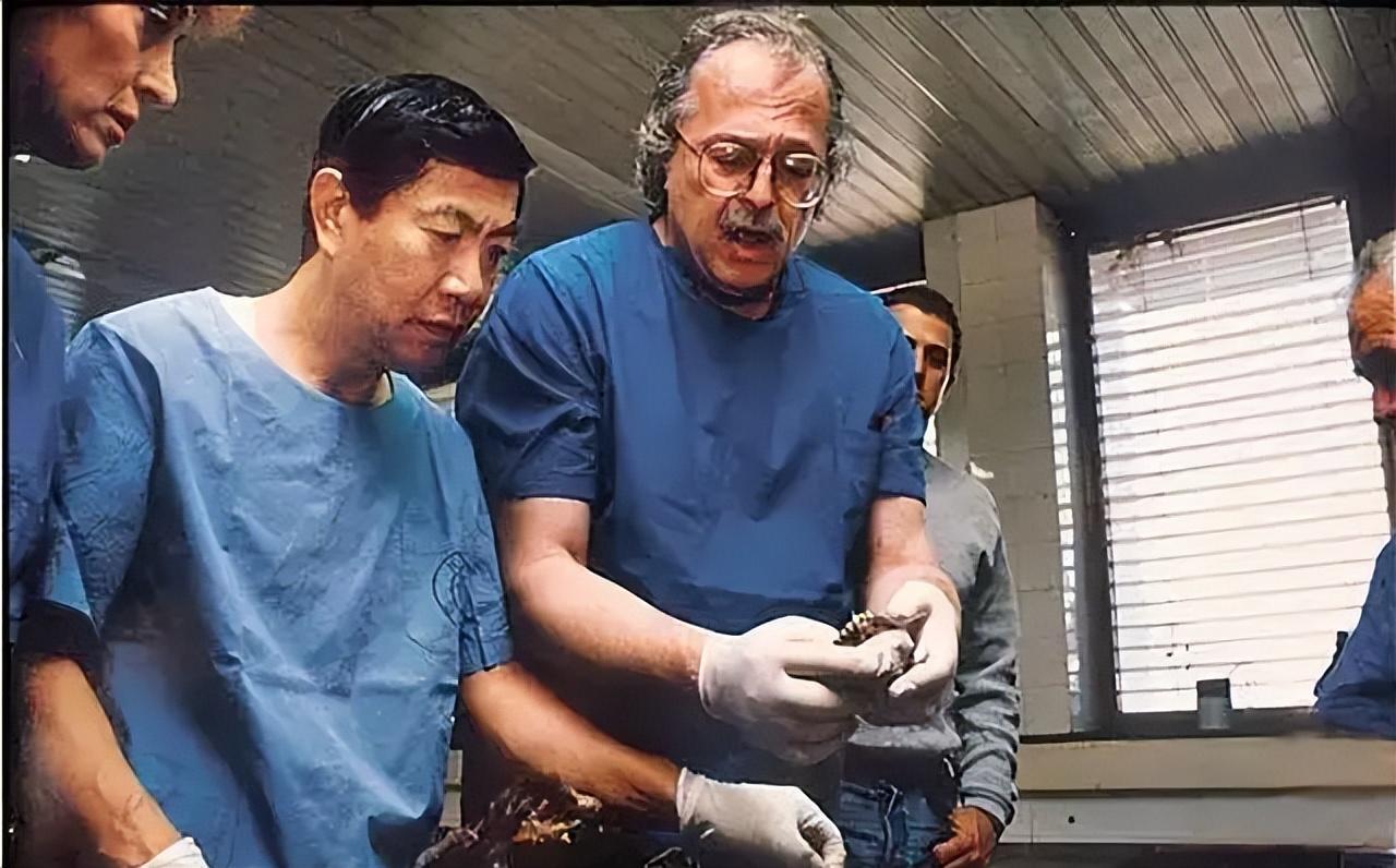 1986年11月19日,康州新镇的空姐海伦突然失踪了,之前毫无征兆.