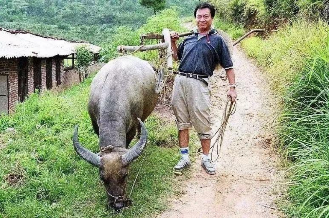 和专家经过长世界的摸索,改良等等,最终培育出了"亚灿米"