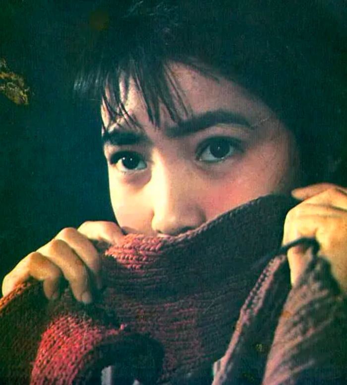 清秀美丽的沈丹萍,有好几部电影作品在手,在学校里也是风云人物了.