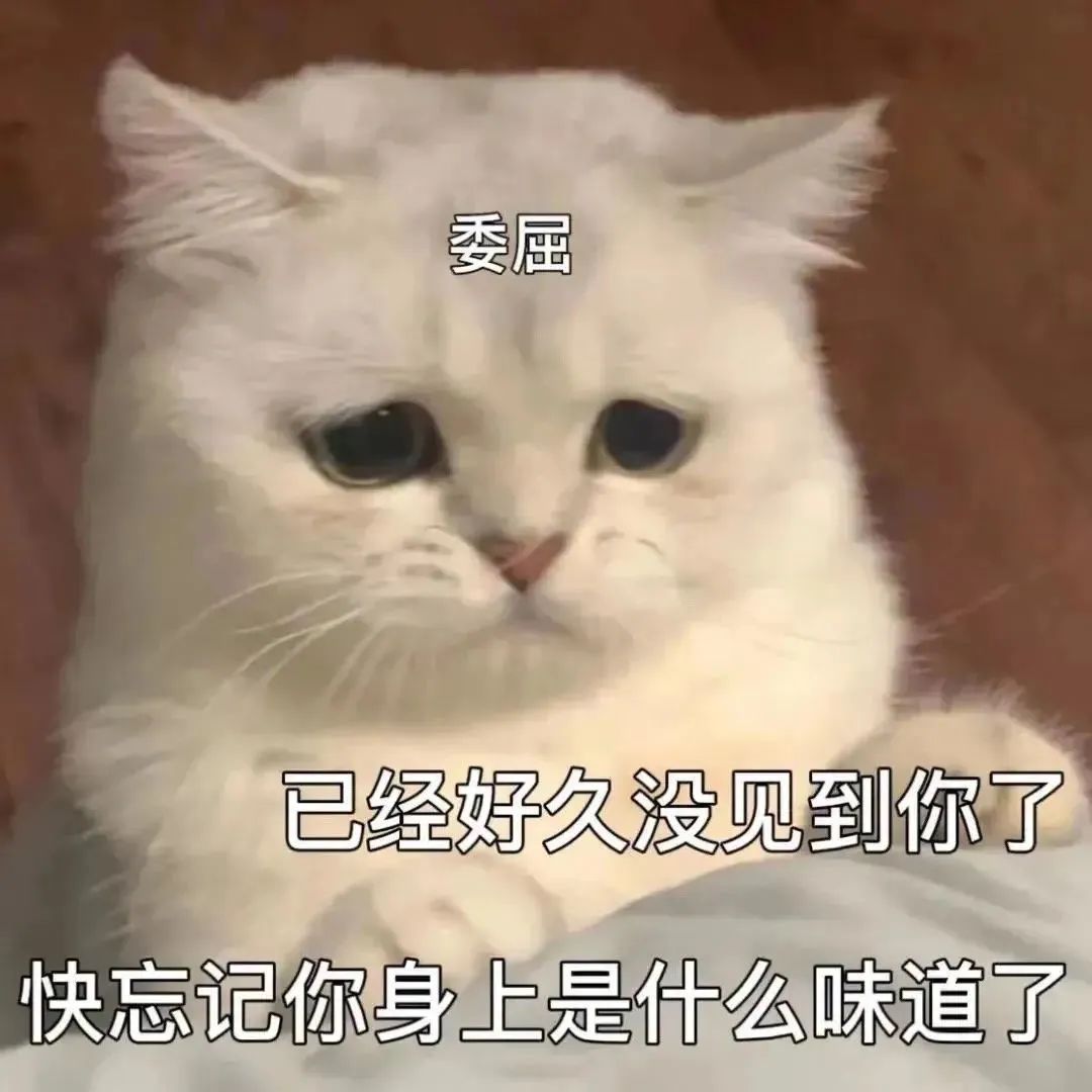 涩涩表情包合集啊