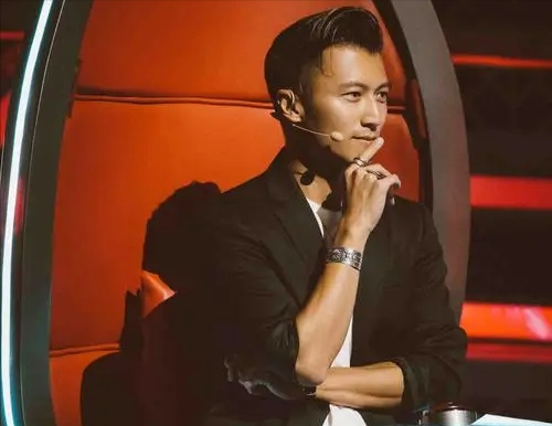 好声音导师现状李健最稳那英汪峰惹争议刘欢霆锋扛住口碑