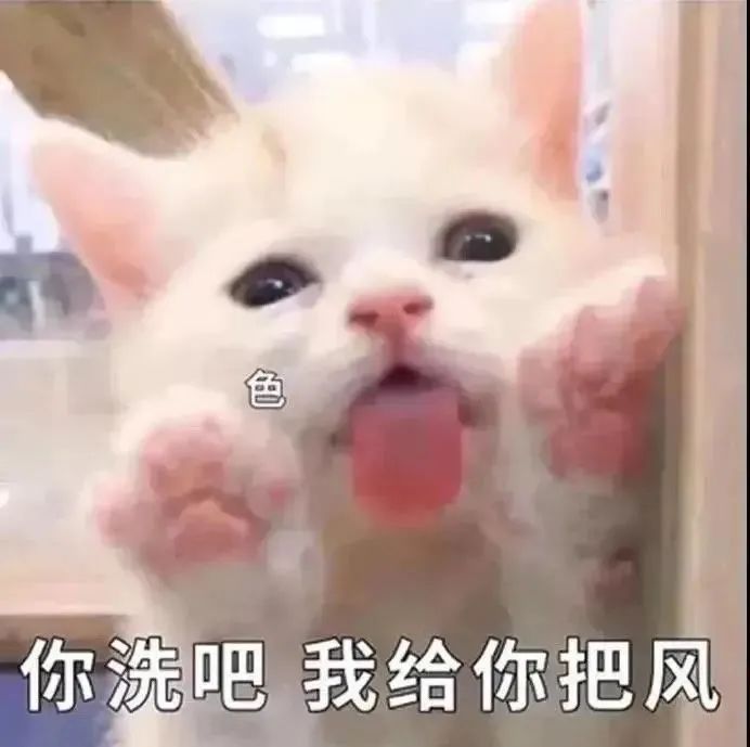 涩涩表情包合集啊