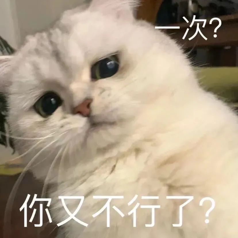 涩涩表情包合集啊