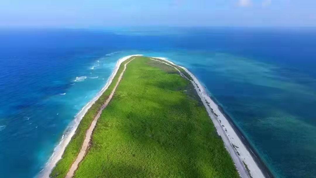 荒岛10年变绿洲中国最南端的地级市经历了怎样的生态大改造