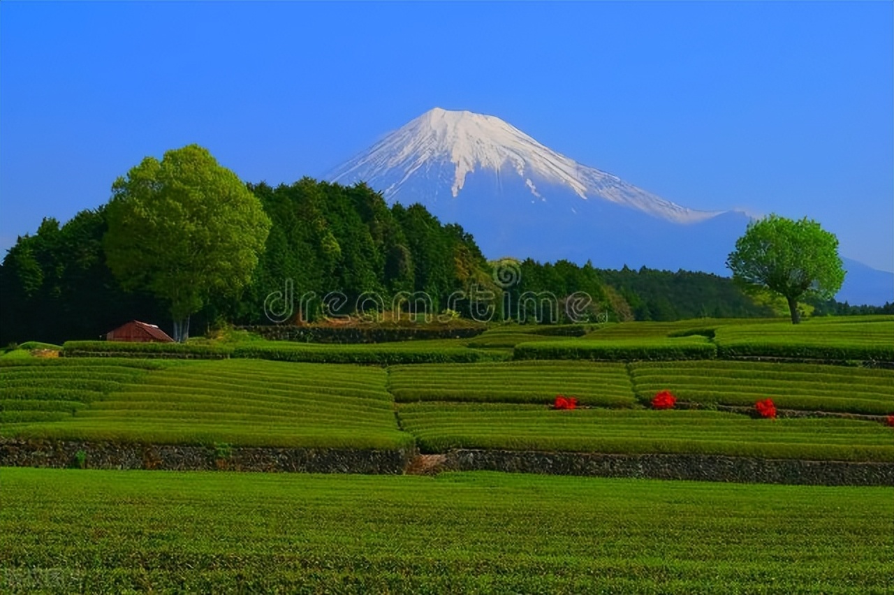 日本农业特点分析