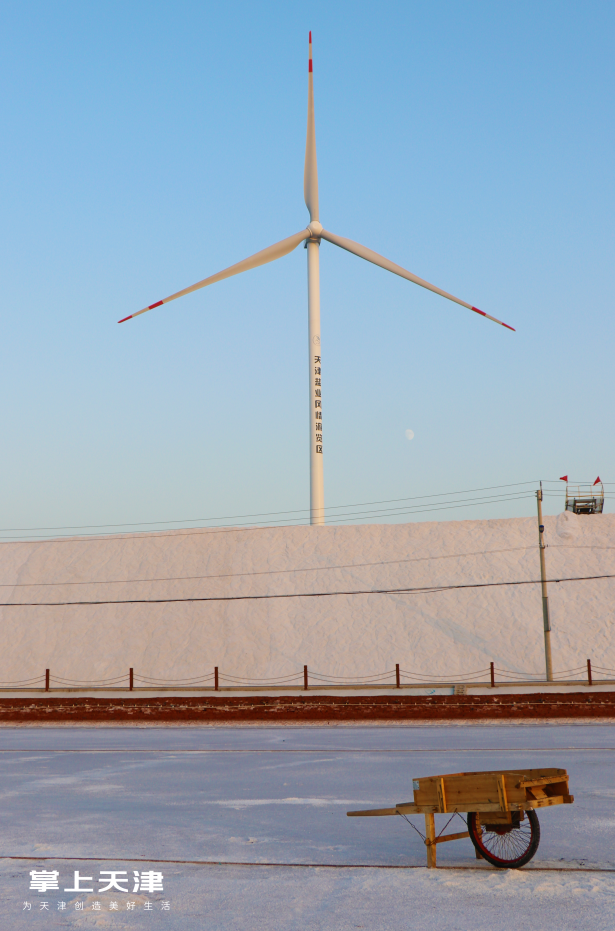 天津长芦汉沽盐场不去后悔