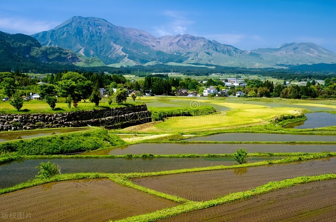 日本农业特点分析