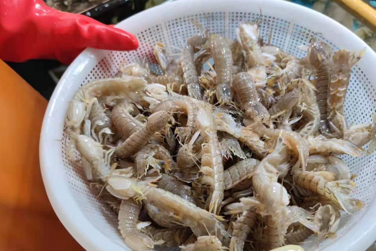 青岛春天的海鲜有哪些?这几种随便说一样,都能"鲜掉眉毛"