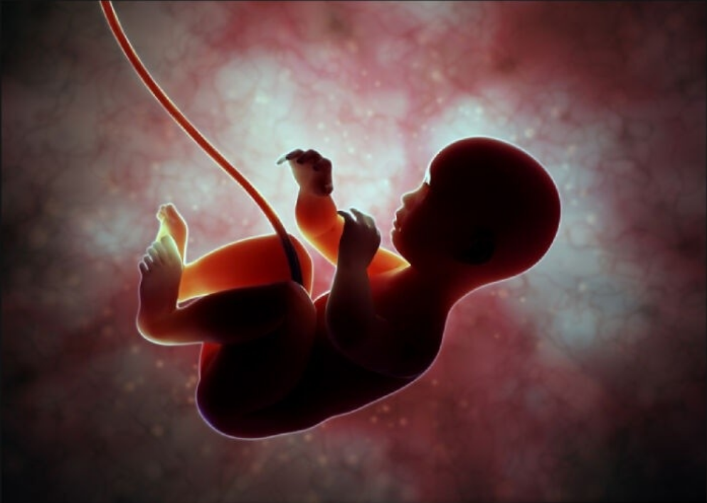 25个另类的事实超乎你的想象