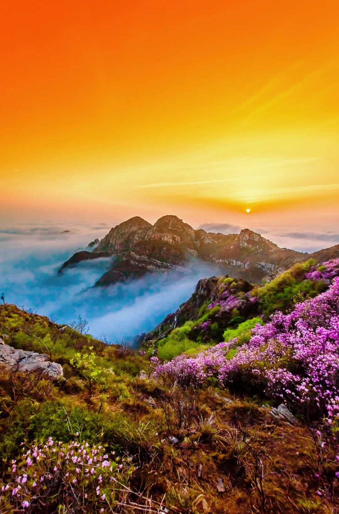 大连天门山大连小黑山龙王塘樱花园大连风景壁纸泊水公园大连风光图片