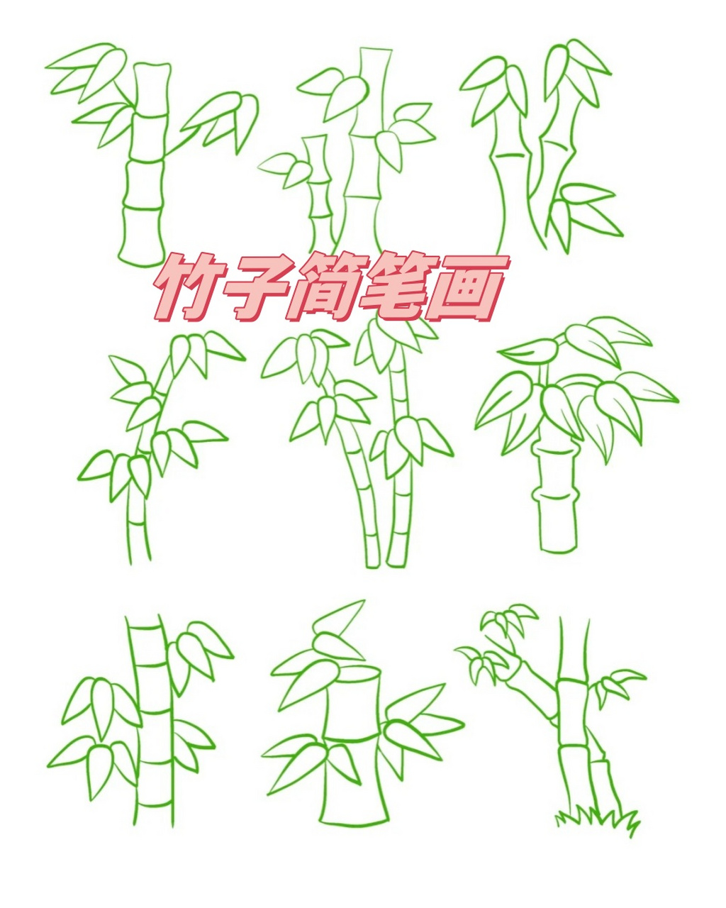 竹子简笔画  96竹子,四季常青,挺拔坚韧,是一种深受人们喜爱的植物.