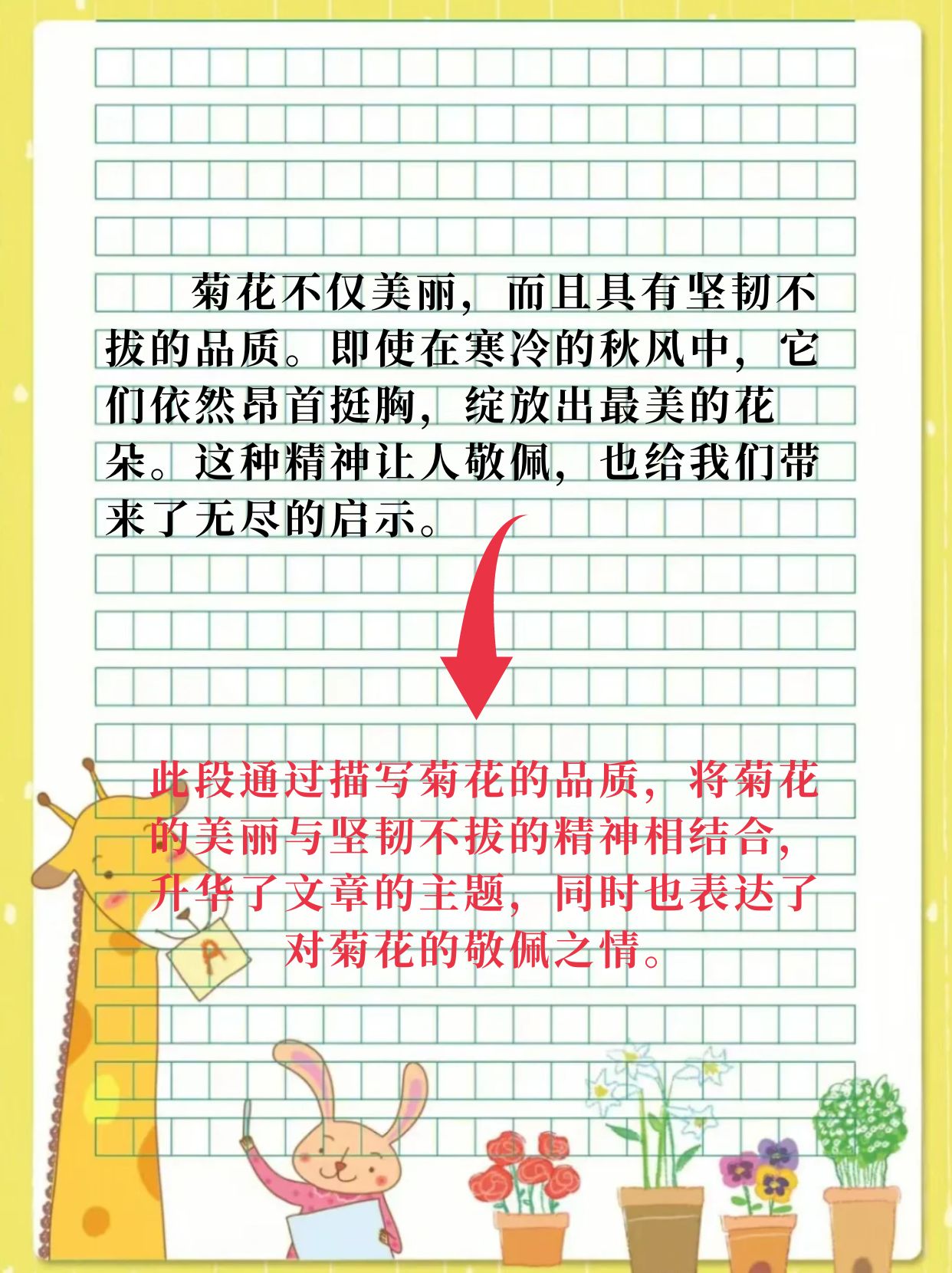美丽的菊花作文300字  1.
