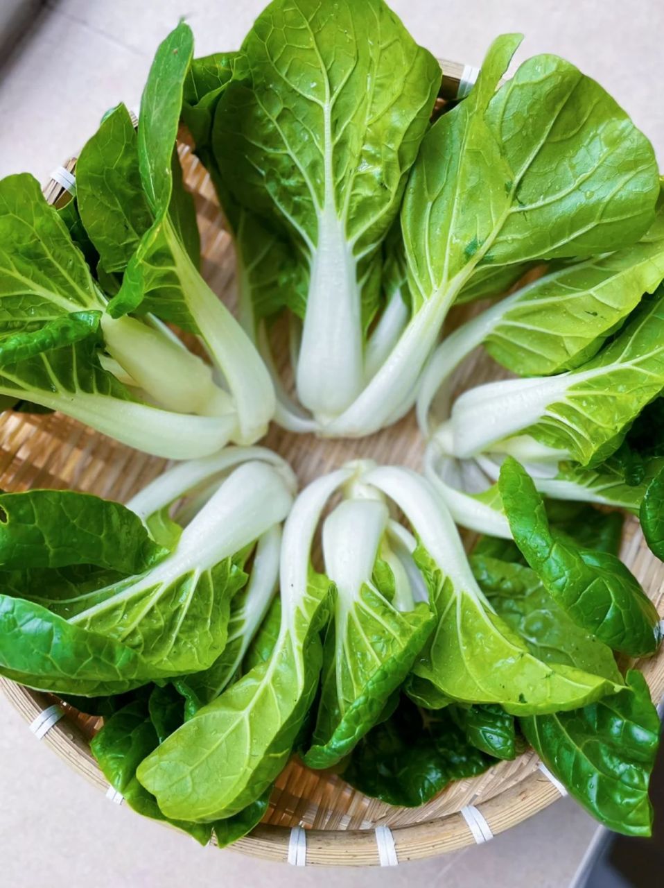 奶白菜的营养价值较高,含有丰富的蛋白质,膳食纤维,维生素c,钙,磷,铁