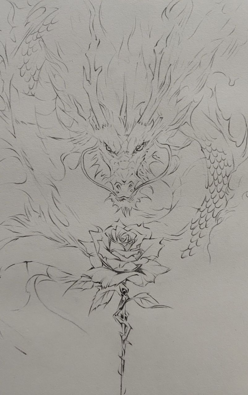 龙简笔画02霸气02帅气  一些简单霸气又帅气的龙简笔画