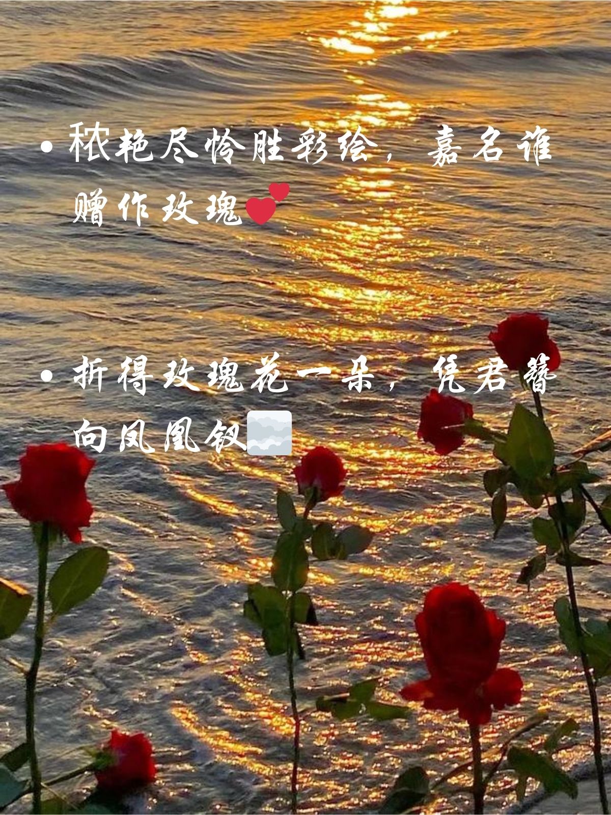 折得玫瑰花一朵,凭君簪向凤凰钗 春看玫瑰树,西邻即宋家玫瑰花诗句