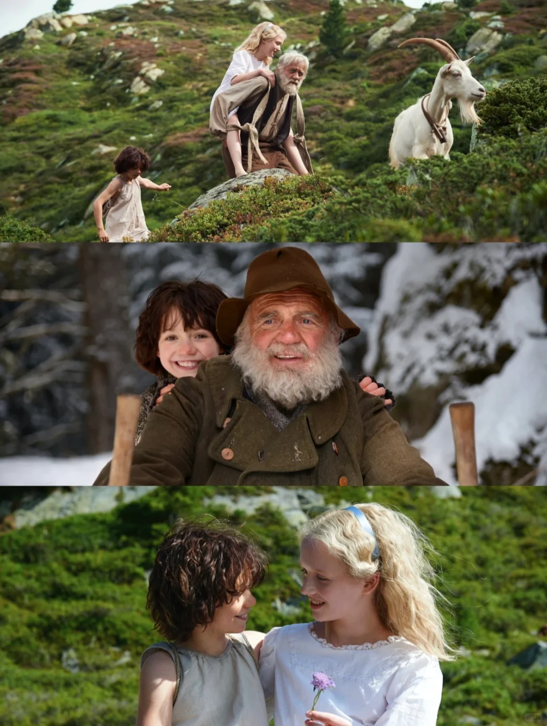 《海蒂和爷爷》:勇敢做自己,无畏他人言