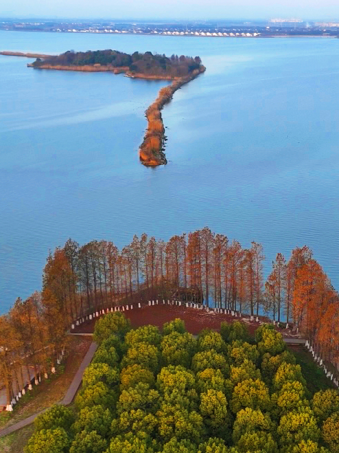 淀山湖大道风景区图片