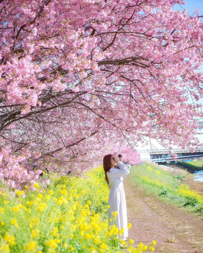 踏春赏花拍人像,这11个漂亮姿势,拍照自然优雅又清新