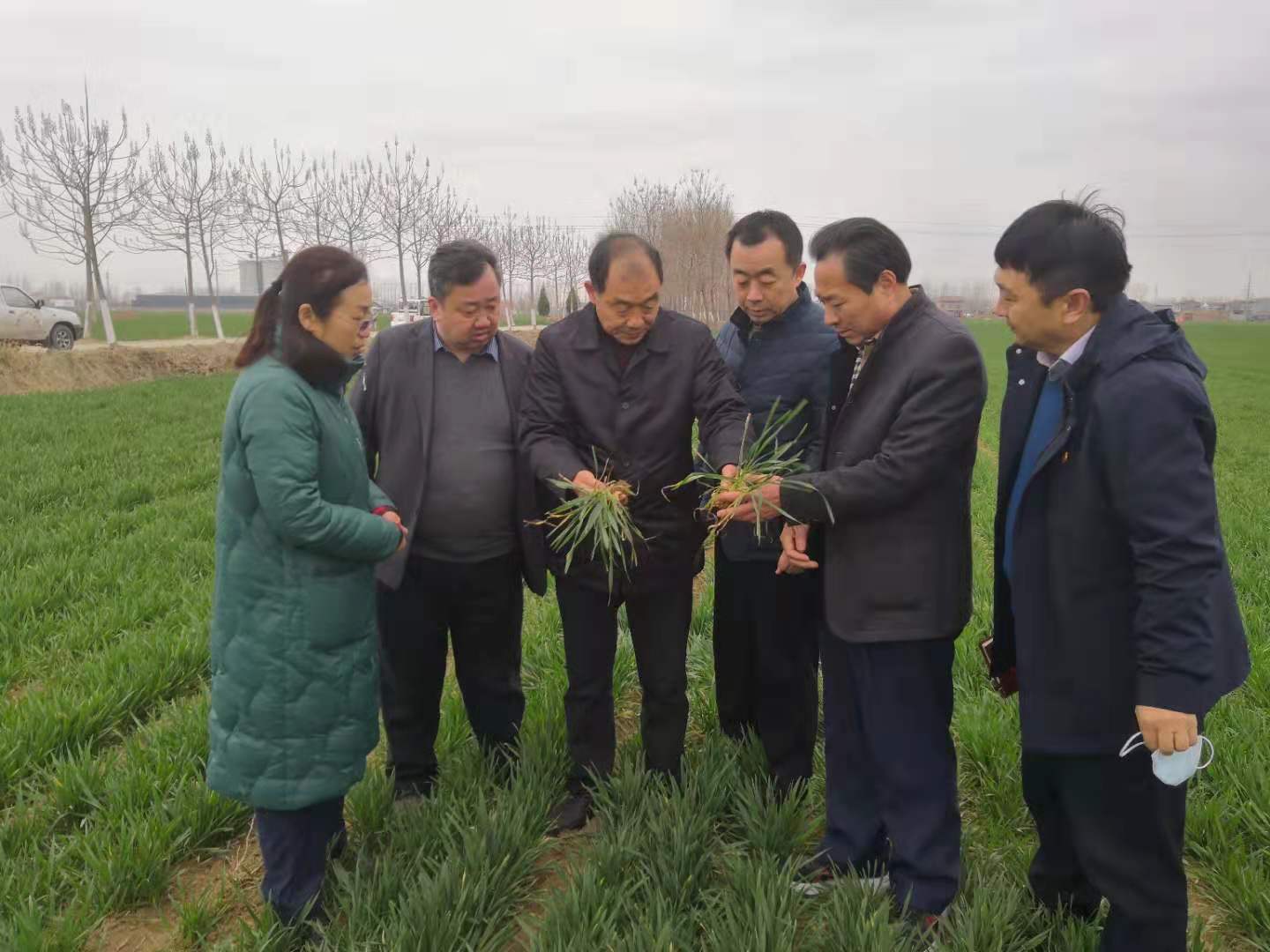 农村种粮补贴,包括哪几项,一亩地能补多少钱