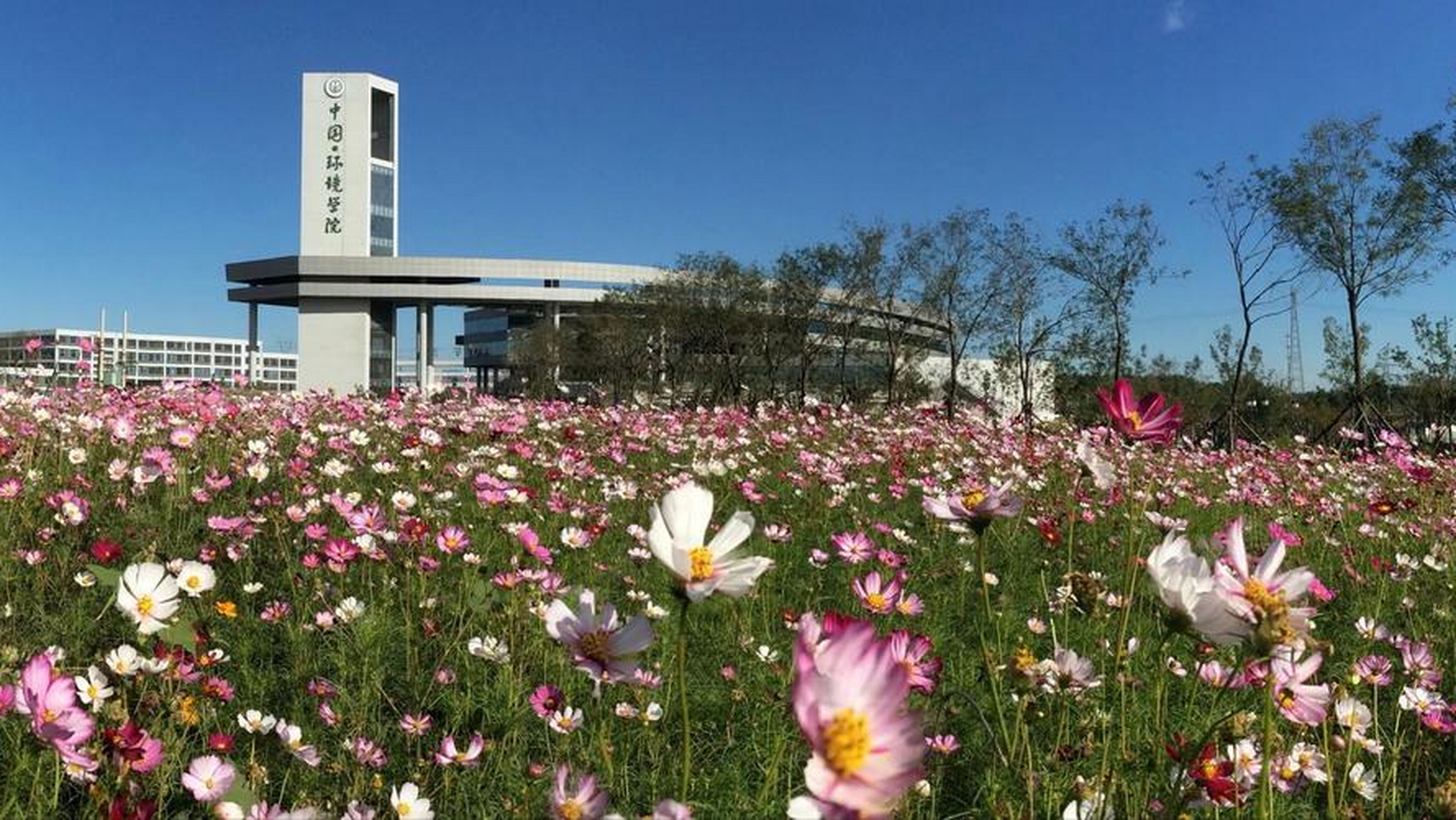 河北环境工程学院,坐落于美丽的海滨城市秦皇岛北戴河!
