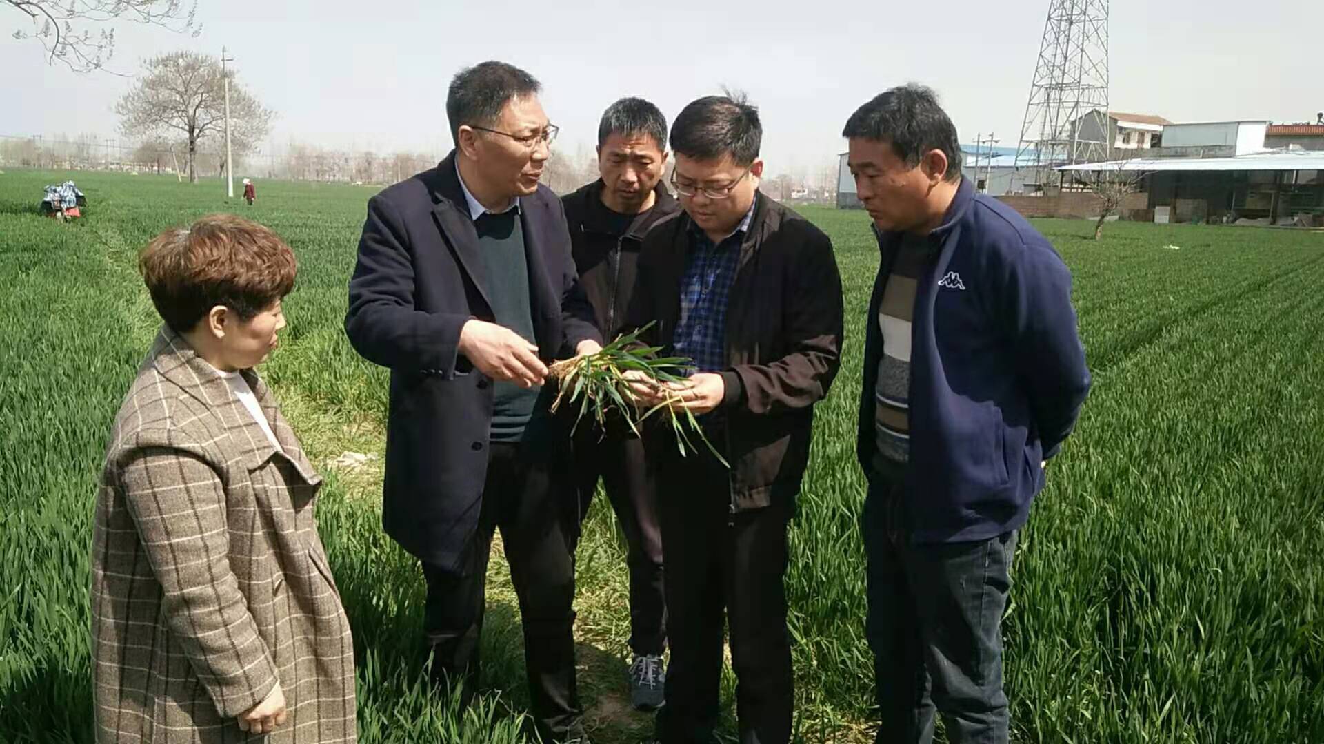 农村种粮补贴,包括哪几项,一亩地能补多少钱