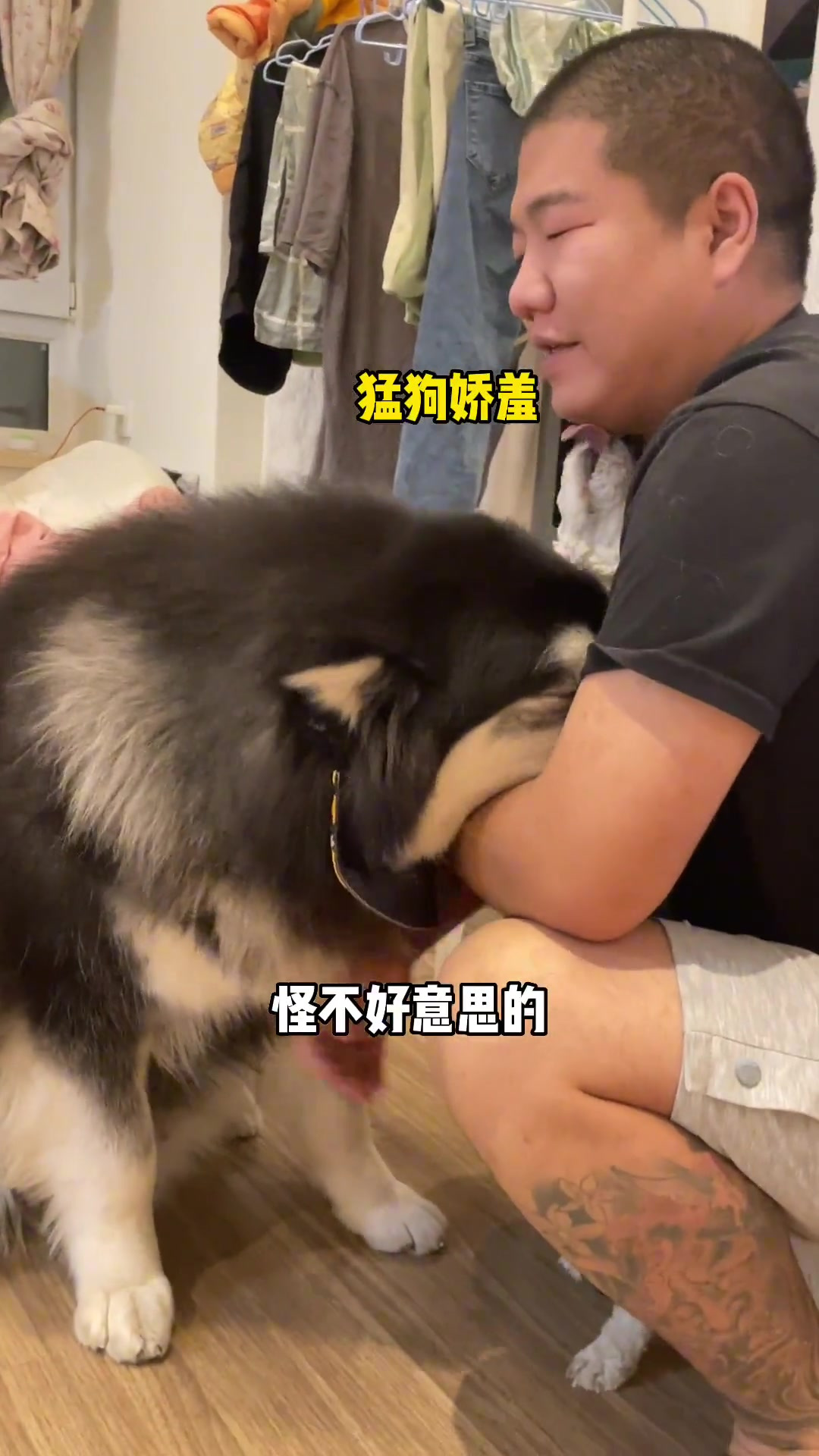 想必在座的各位都想给这只双标狗一个大鼻窦吧