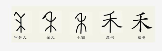 有趣的文字木和禾 从木字的甲骨文可以看出,上面是两根向上生长